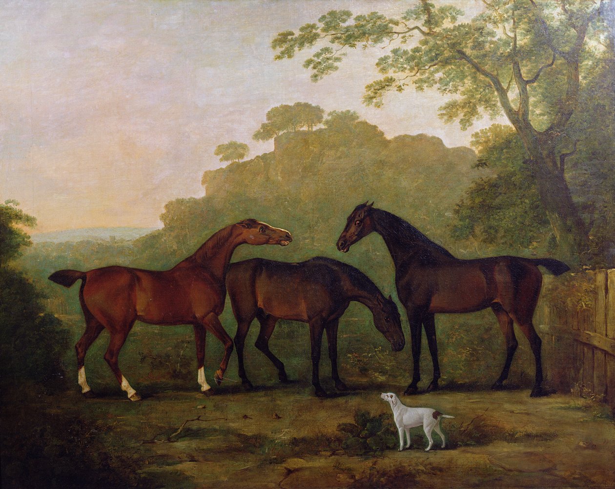Hunters at Grass by John E. Ferneley