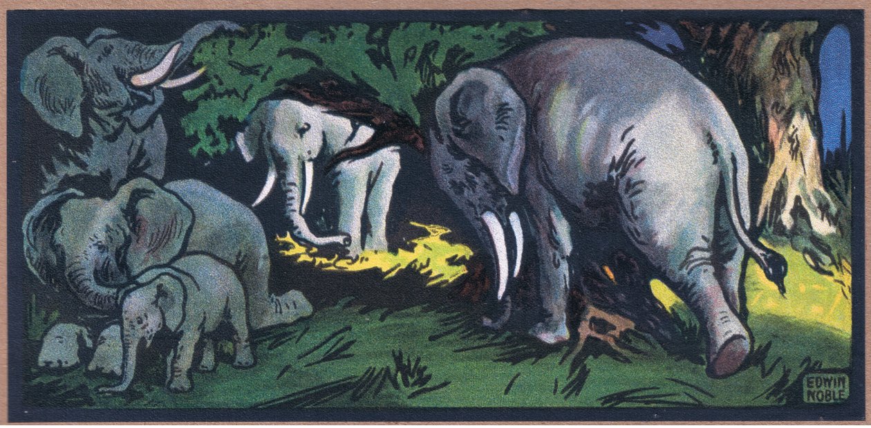 Elephant in the Wilds by John Edwin Noble