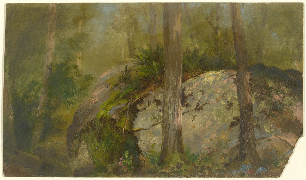 Forest Scene by John Ferguson Weir