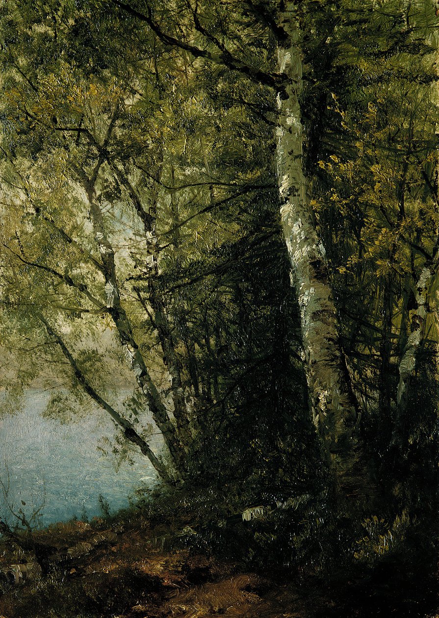 Study of Beeches, 1872 by John Frederick Kensett