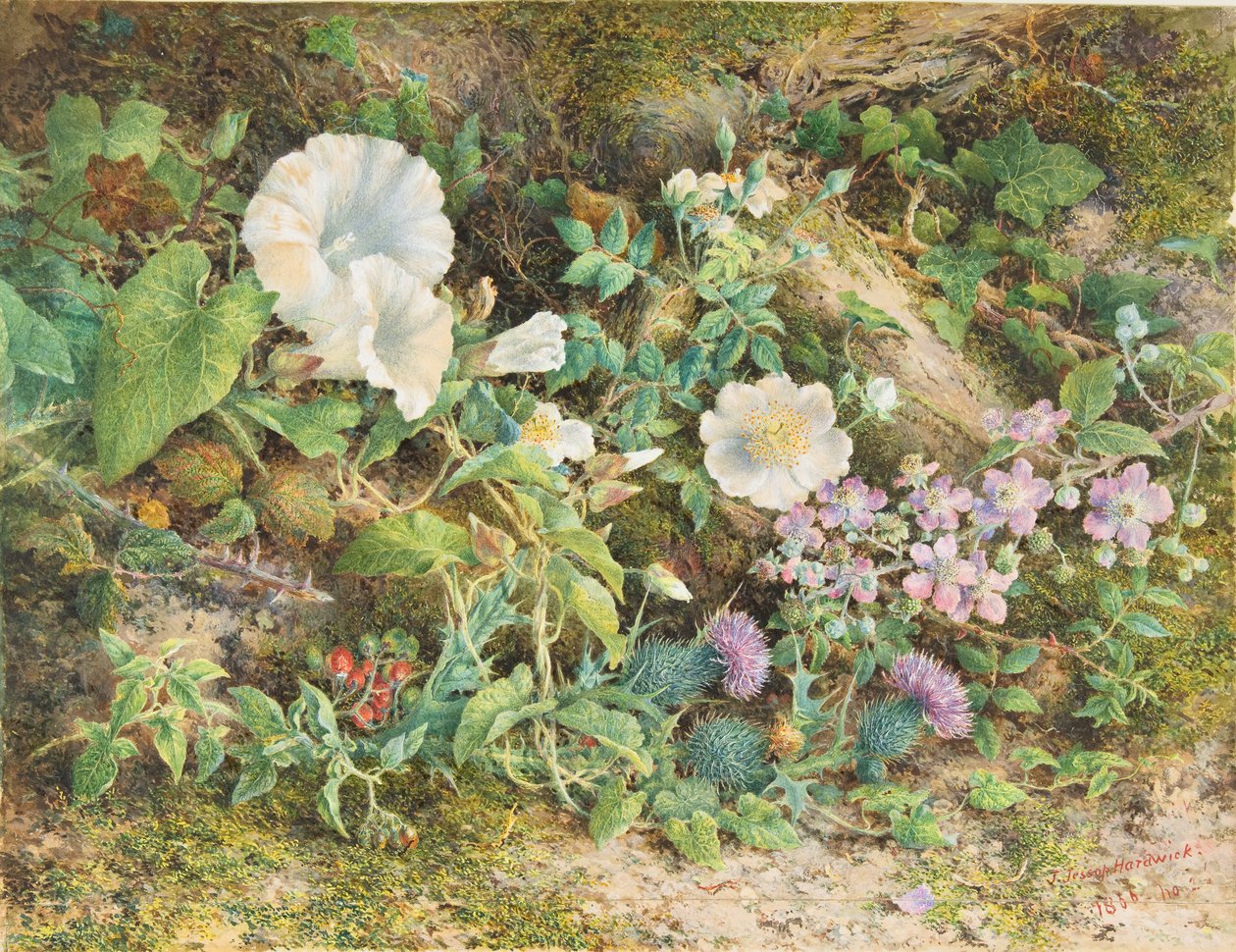 Flower Study by John Jessop Hardwick