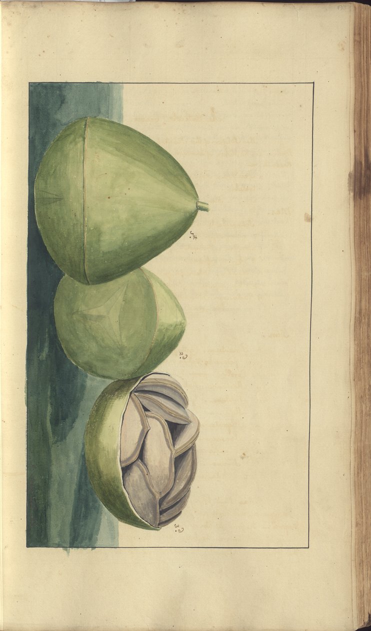 A page from the 
