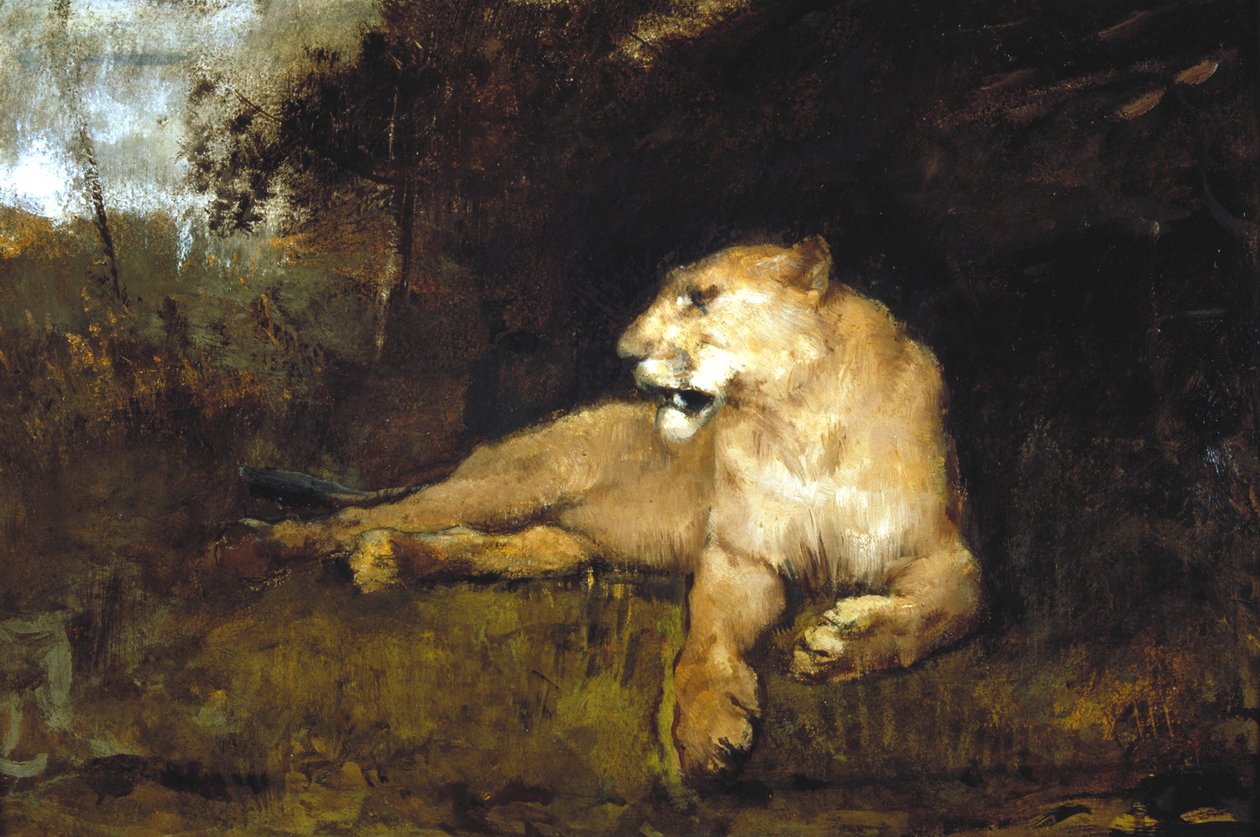A Lioness by John Macallan Swan