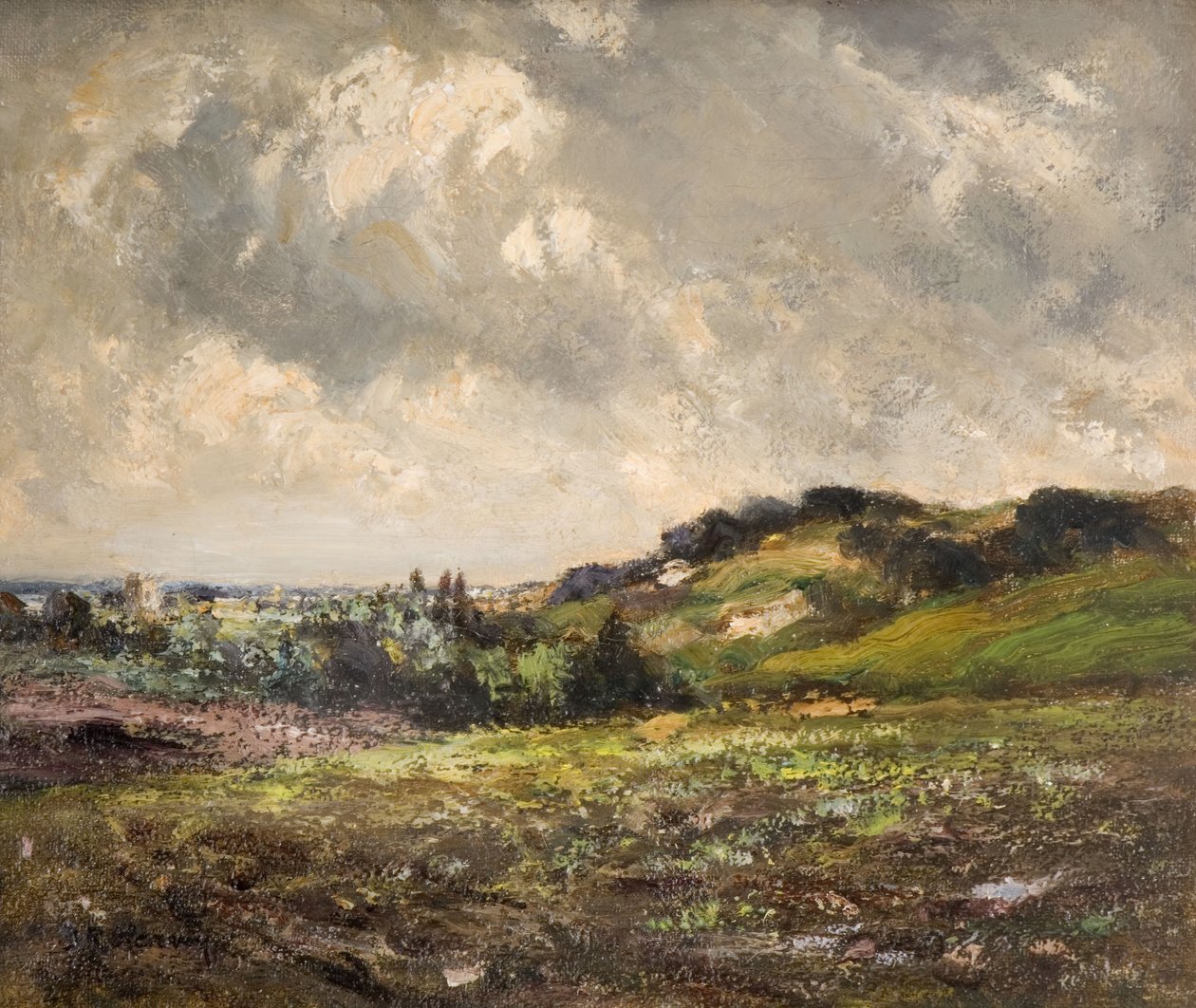 Windswept Hills by John Rabone Harvey