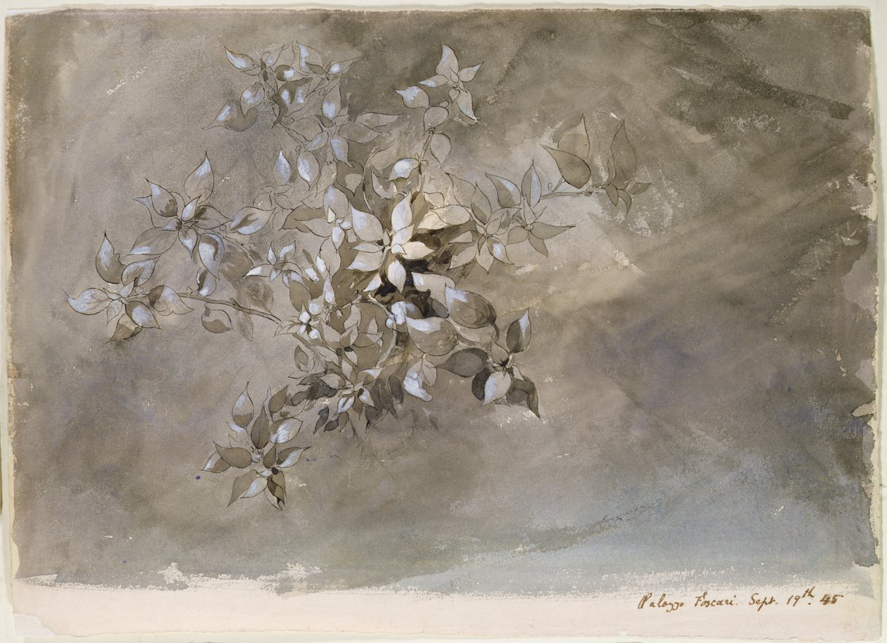 Study of Foliage by John Ruskin