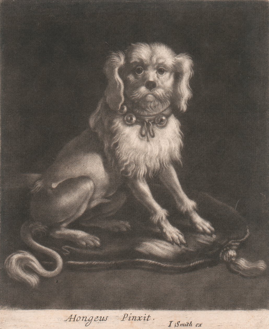 A Small Dog, Wearing a Belled Collar by John Smith