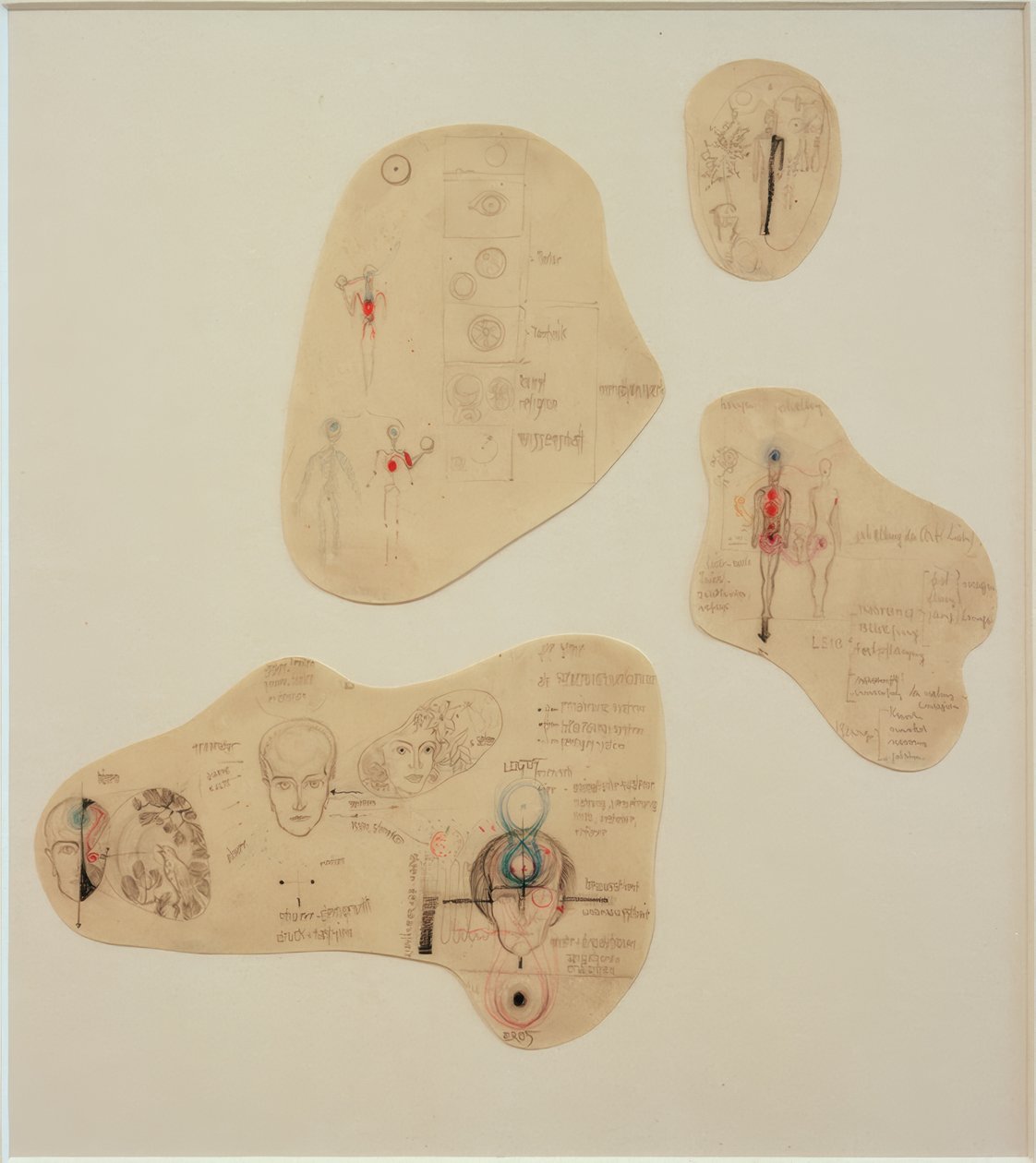 The Senses as Control Tools by Joost Schmidt