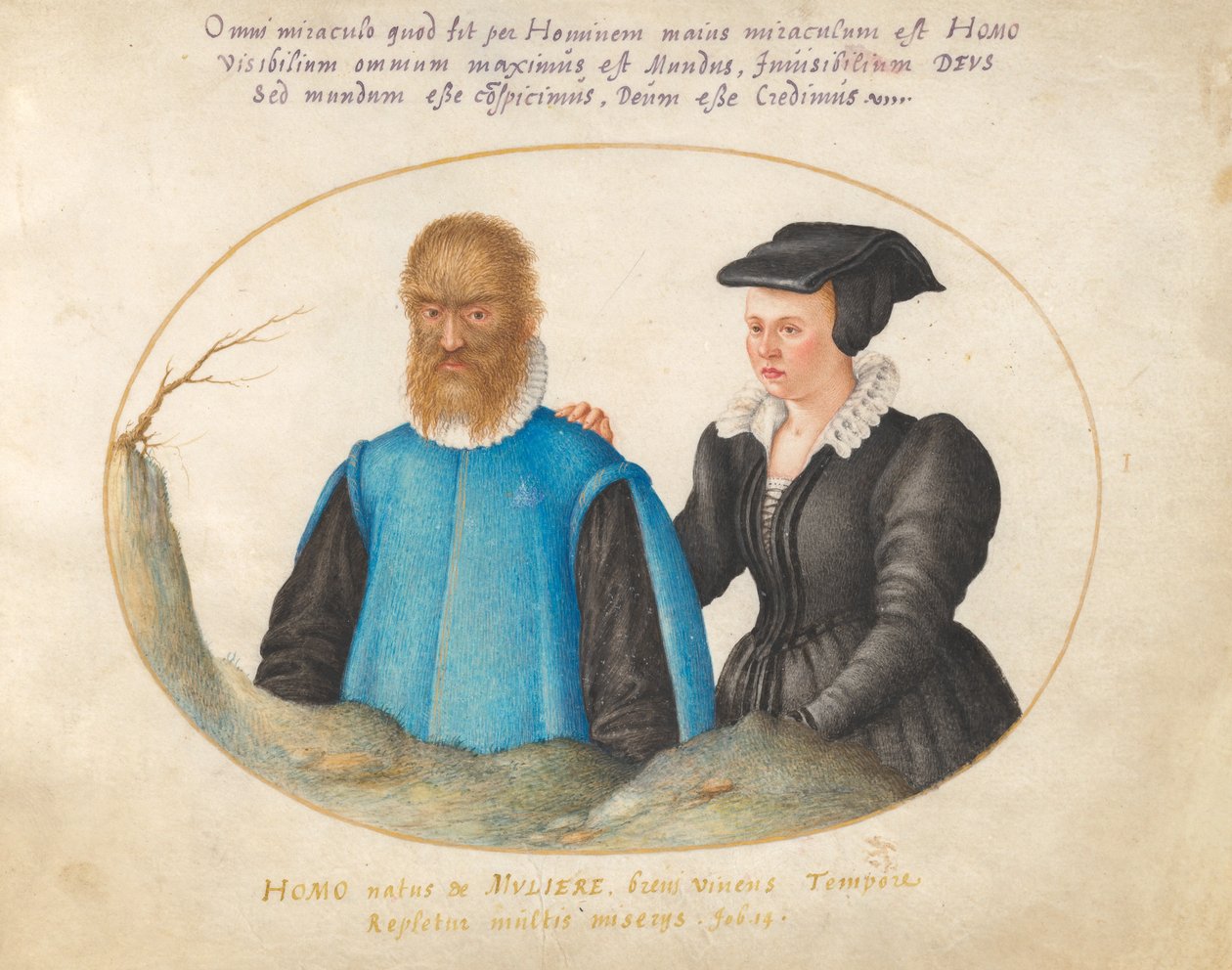 Animalia Rationalia et Insecta (Ignis) - Plate I by Joris Hoefnagel