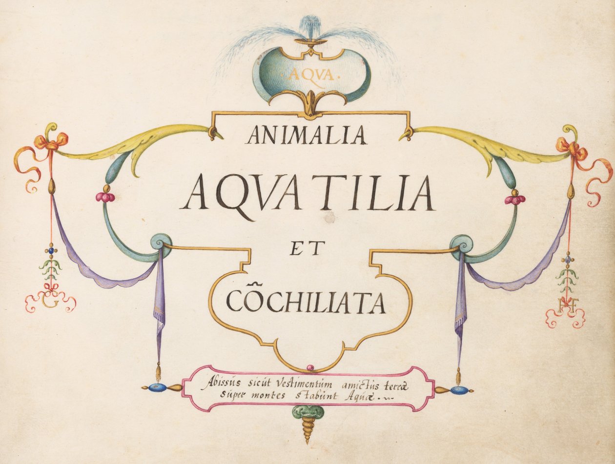 Title Page by Joris Hoefnagel