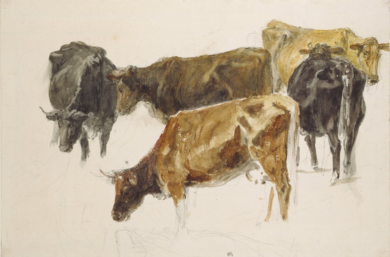 Study of a Group of Cows, c. 1801 by Joseph Mallord William Turner