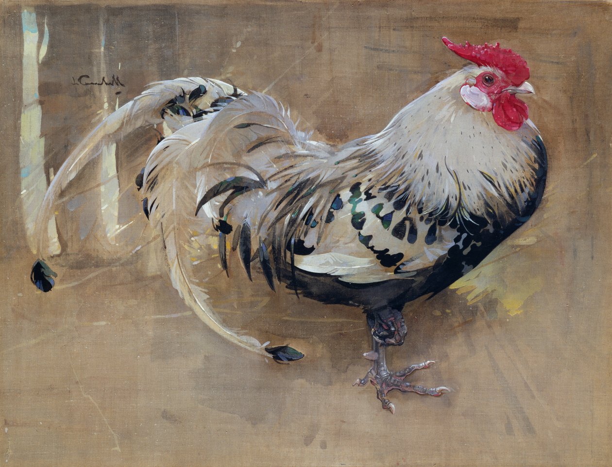 The Spangled Cock by Joseph Crawhall