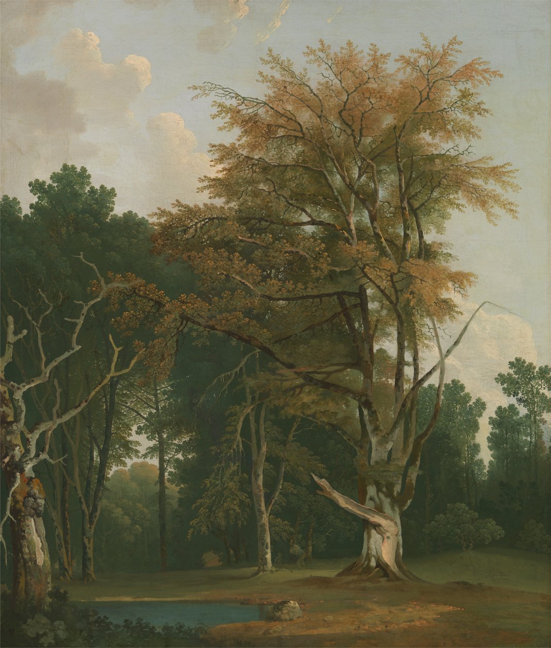 Trees in a Woodland Glade by Joseph Farington