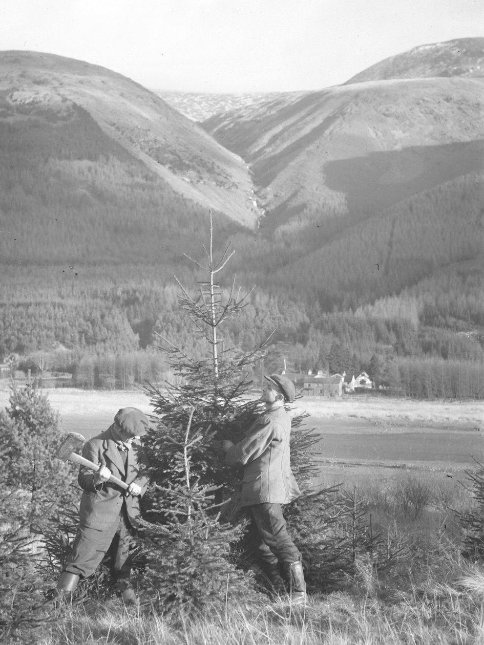 Two Men Cutting Conifer Down with Axe by Joseph Hardman