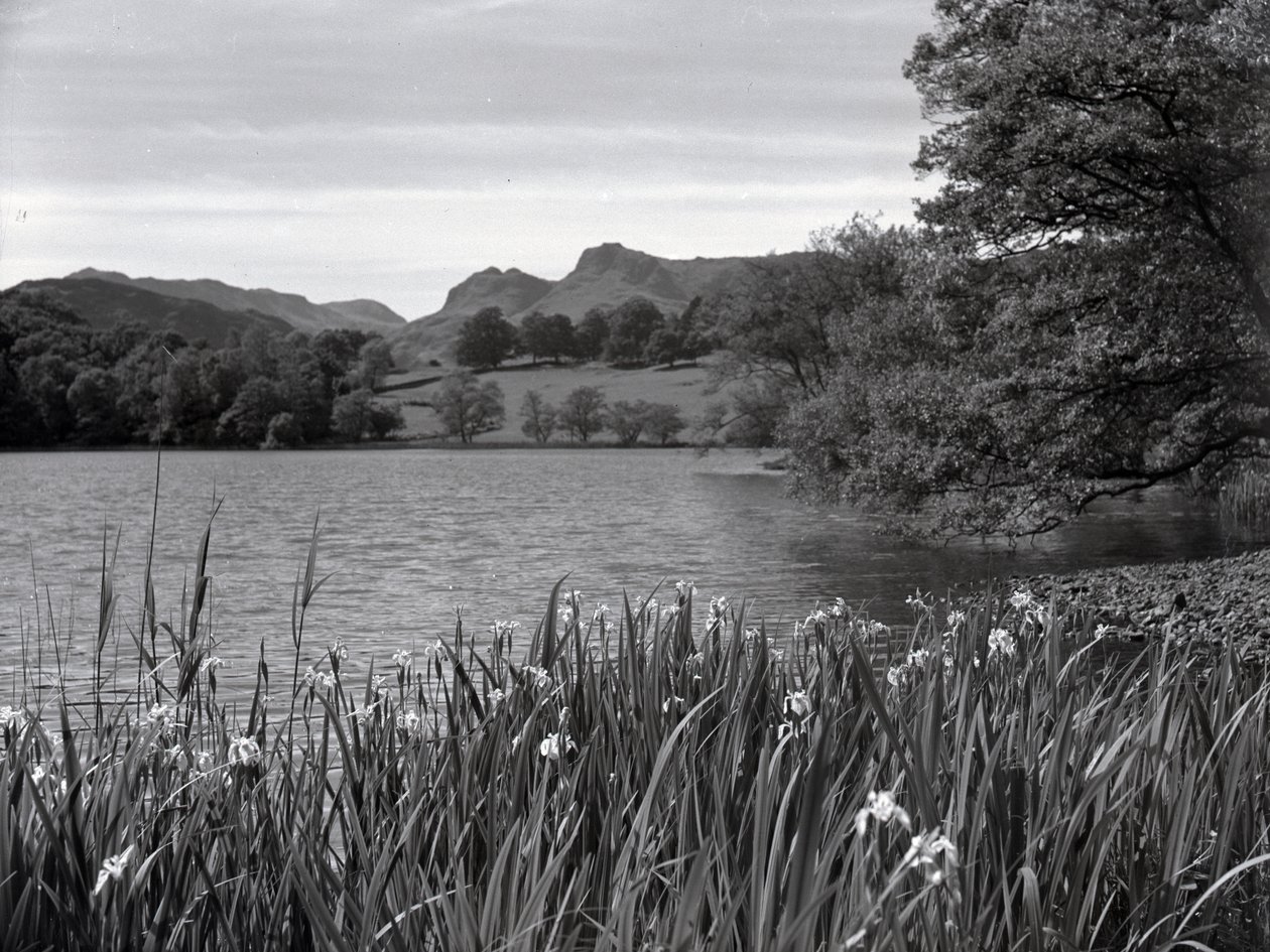 View across Loughrigg Tarn by Joseph Hardman