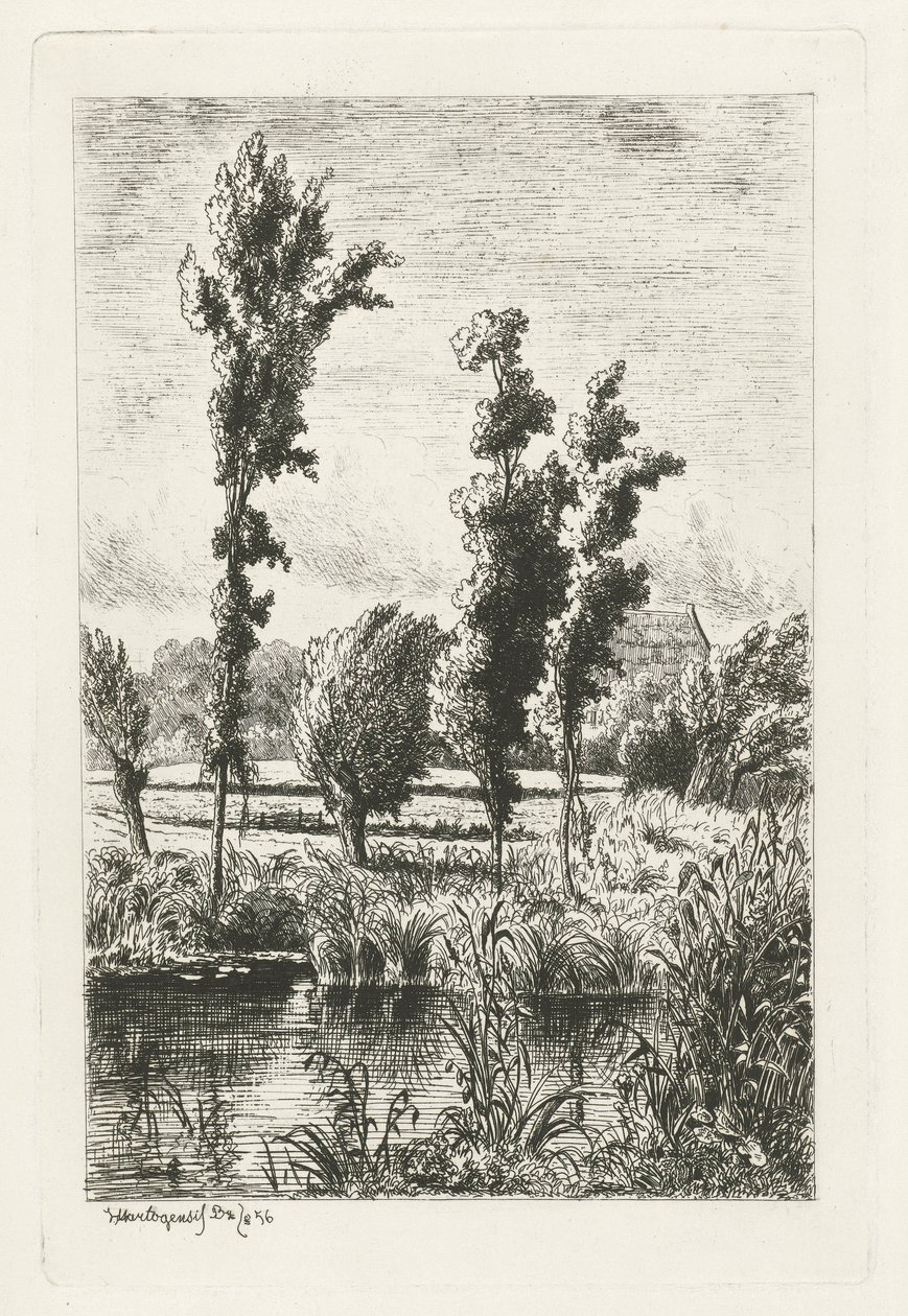 Trees by a Ditch by Joseph Hartogensis