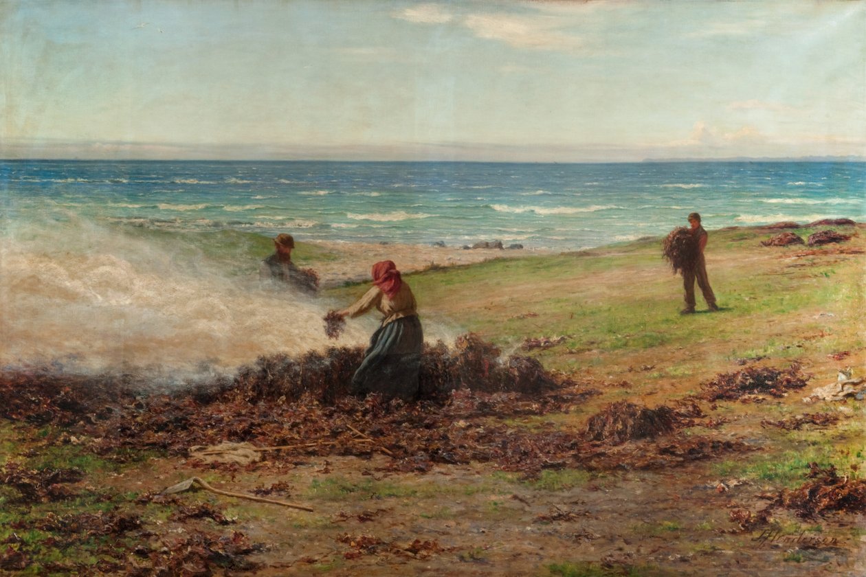 Kelp Burning by Joseph Henderson
