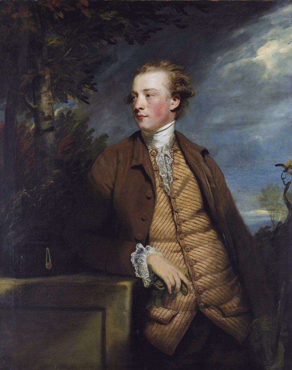 Denis Daly by Joshua Reynolds