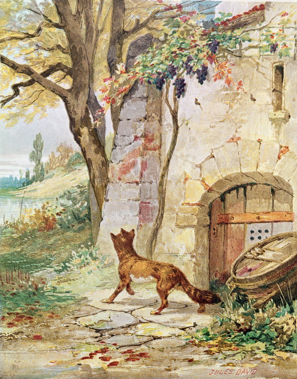 The Fox and the Grapes, illustration for 