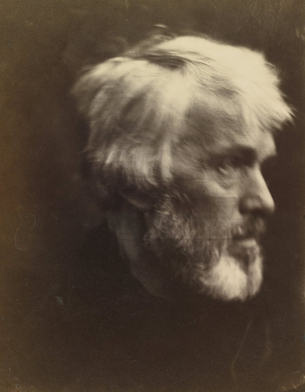 Thomas Carlyle (1795) by Julia Margaret Cameron