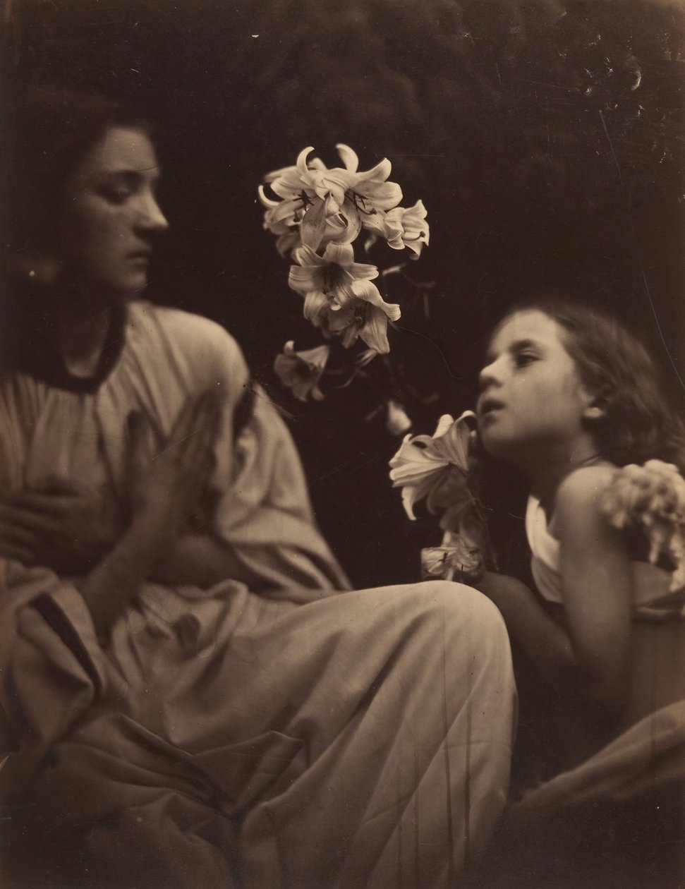 A Study by Julia Margaret Cameron