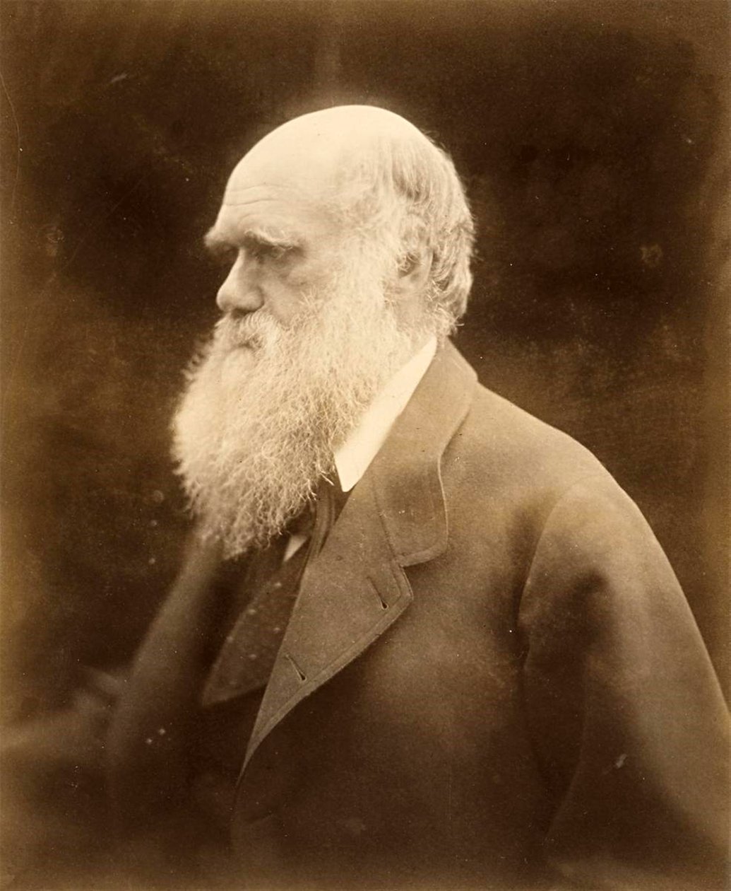 Portrait of Charles Darwin by Julia Margaret Cameron