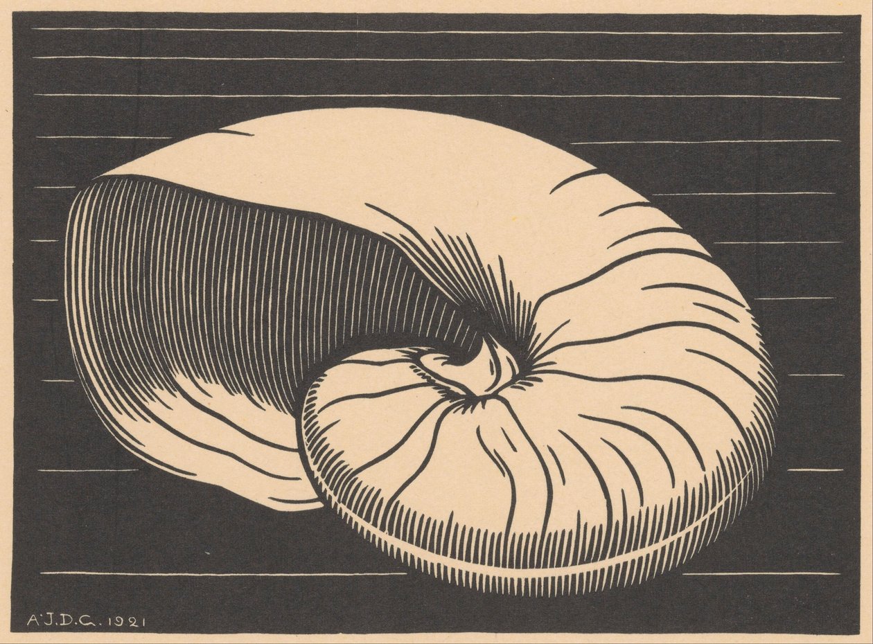 Shell by Julie de Graag (signed by artist)