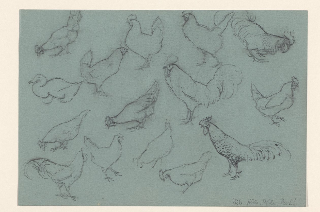 Study Sheet with Chickens by Julie de Graag