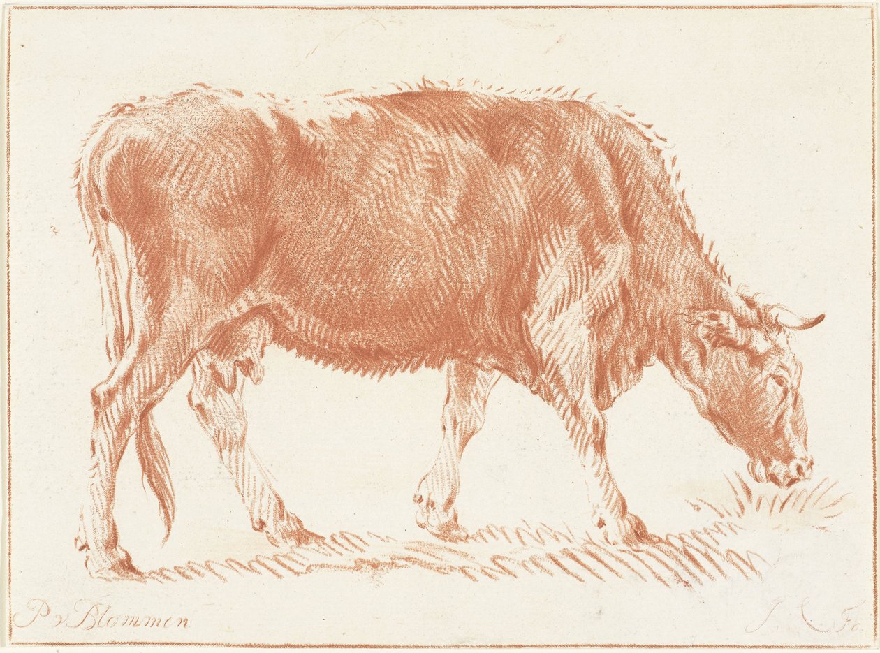 Grazing Cow by Jurriaan Cootwijck