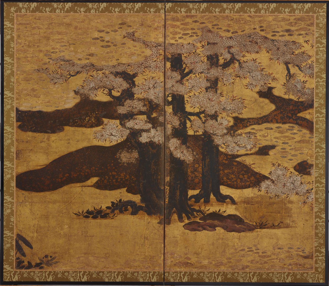 Blossoming cherry trees, Edo period by Kano Sanraku