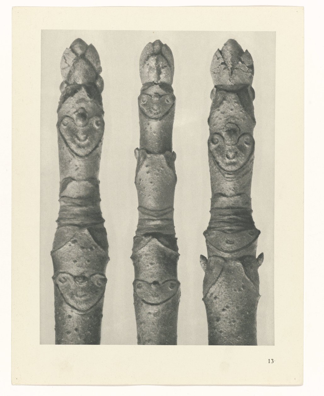 Plant Study (series title: Urformen der Kunst) by Karl Blossfeldt