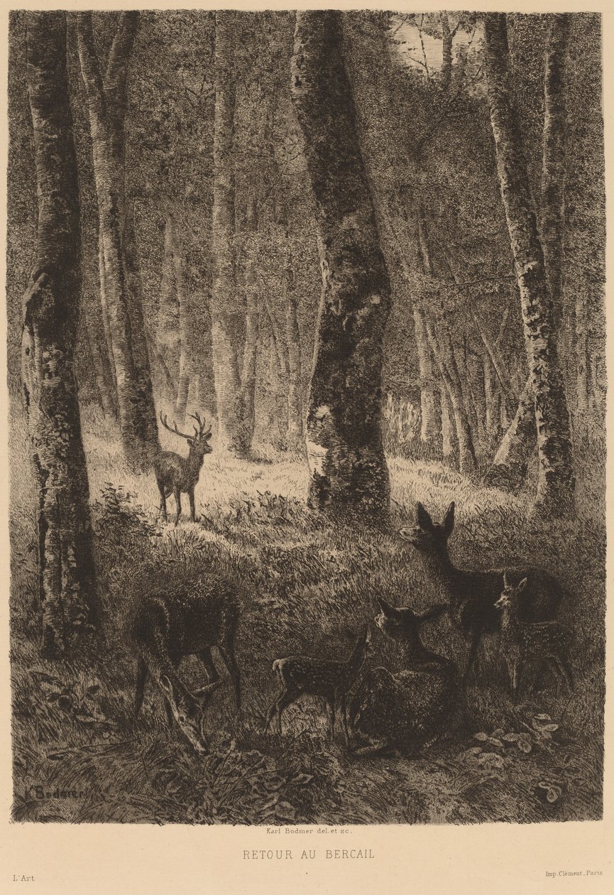 Return to the Fold by Karl Bodmer