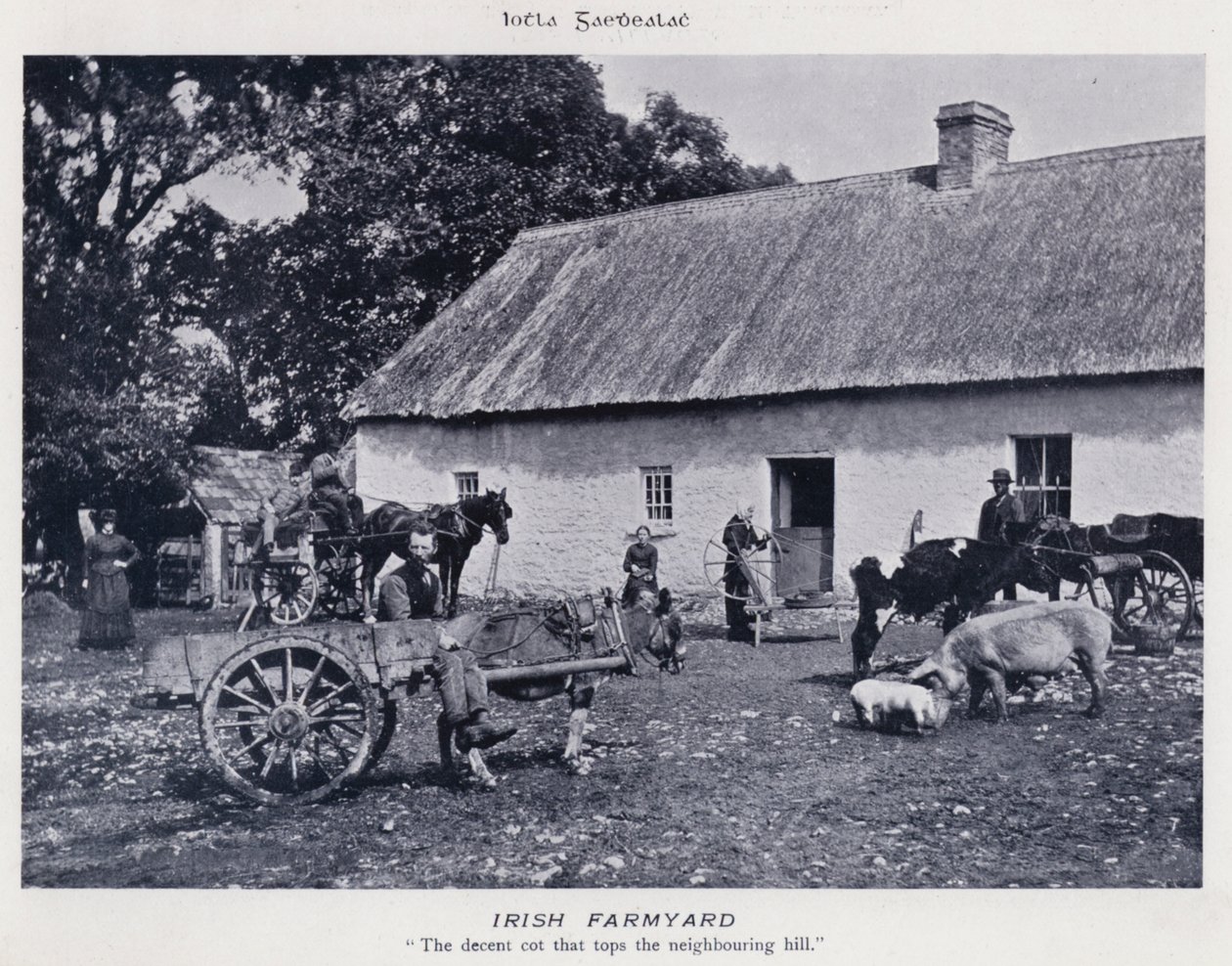 Irish Farmyard by Karl Karlovich Piratsky