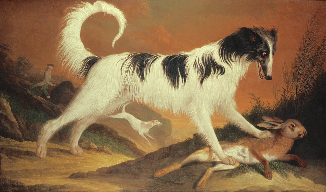 Dog and Hare by Karl Kaspar Pitz