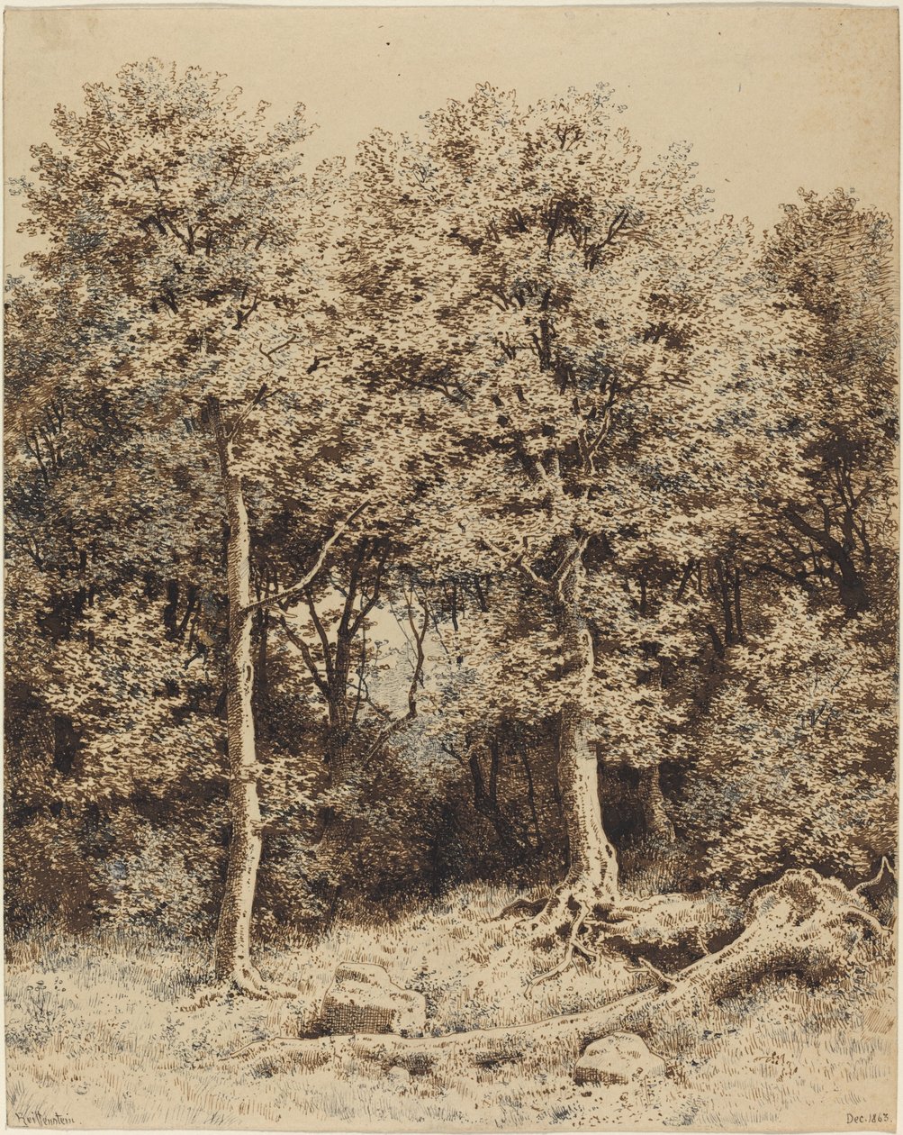 A Copse of Trees by Karl Theodor Reiffenstein