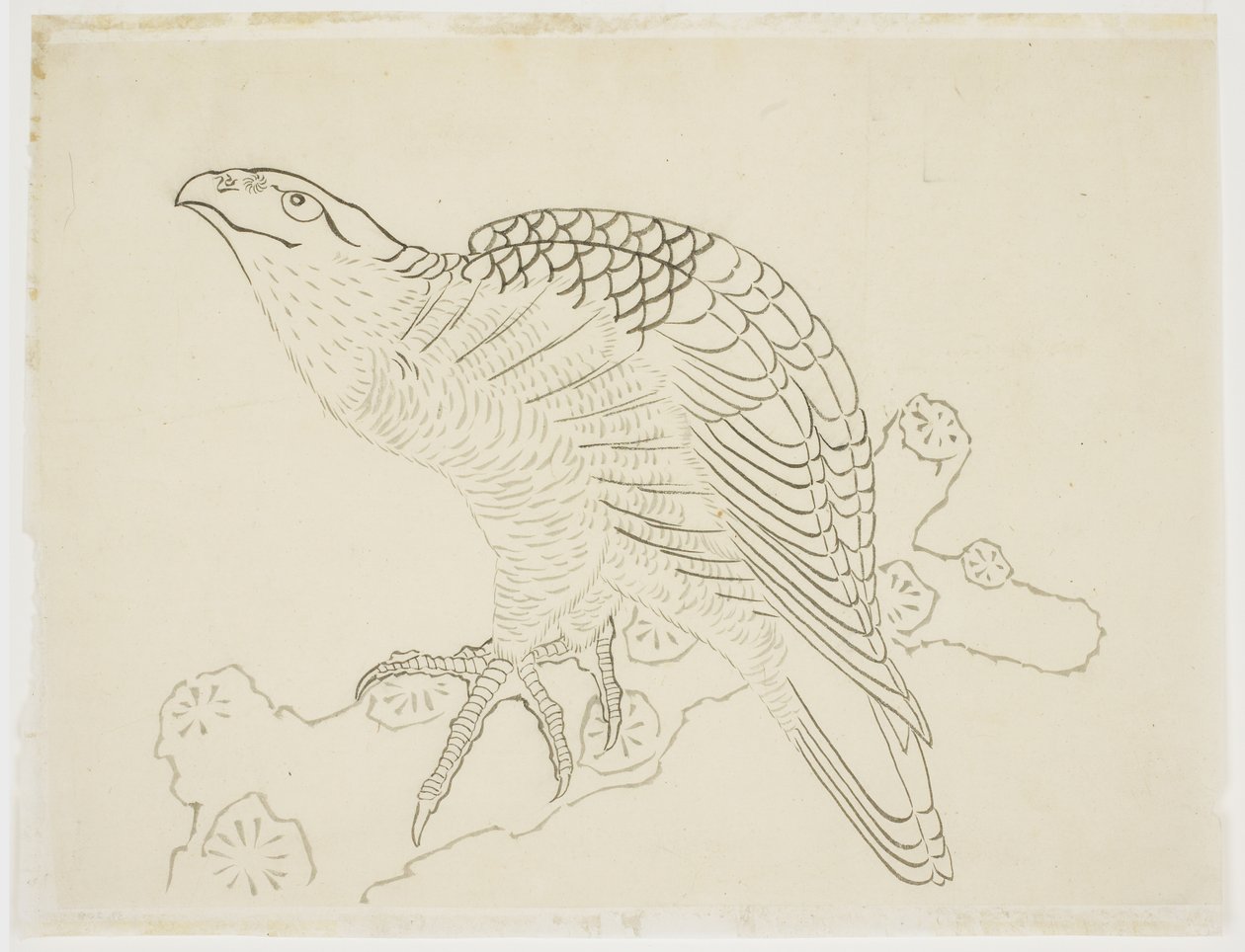 Hawk on a Branch (study) by Katsushika Hokusai