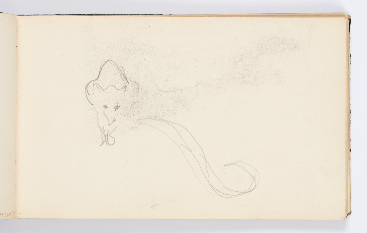Sketchbook Page: Sketch of a Genet by Kenyon Cox
