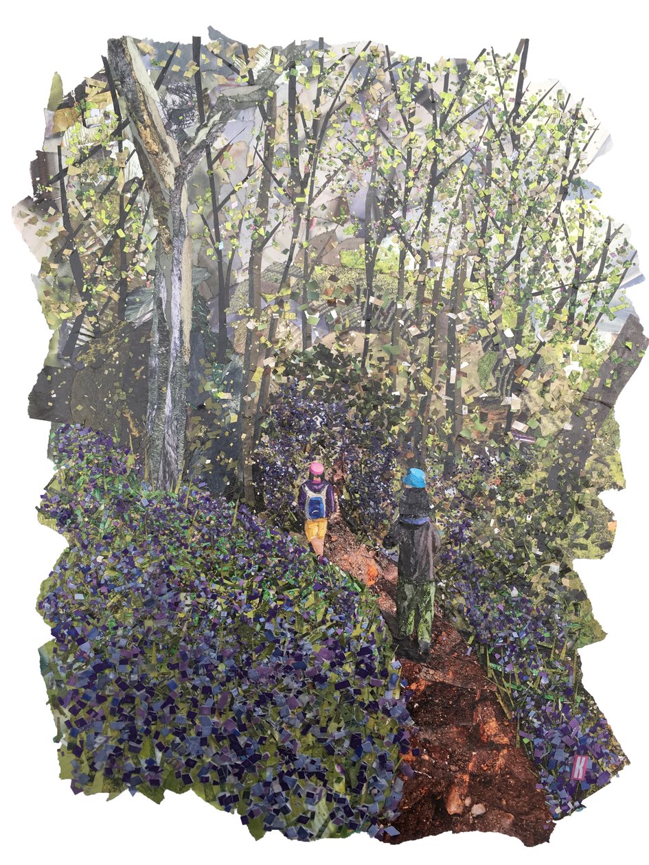 Spring Bank by Kirstie Adamson