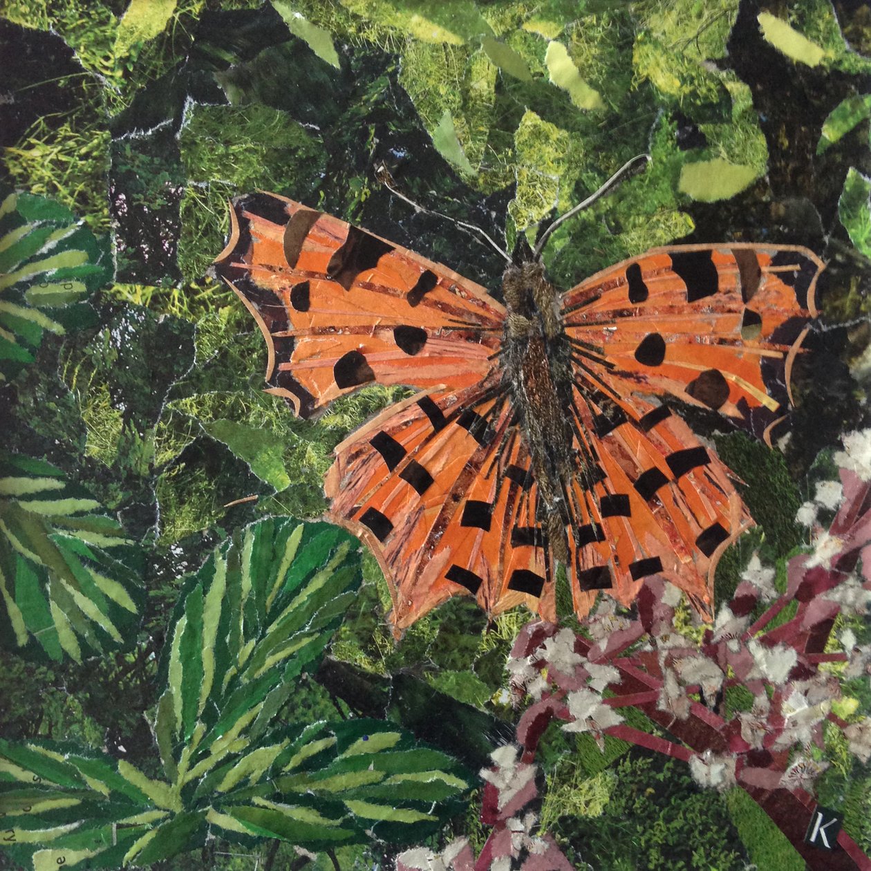 Flutter - Comma Butterfly On Japonica by Kirstie Adamson