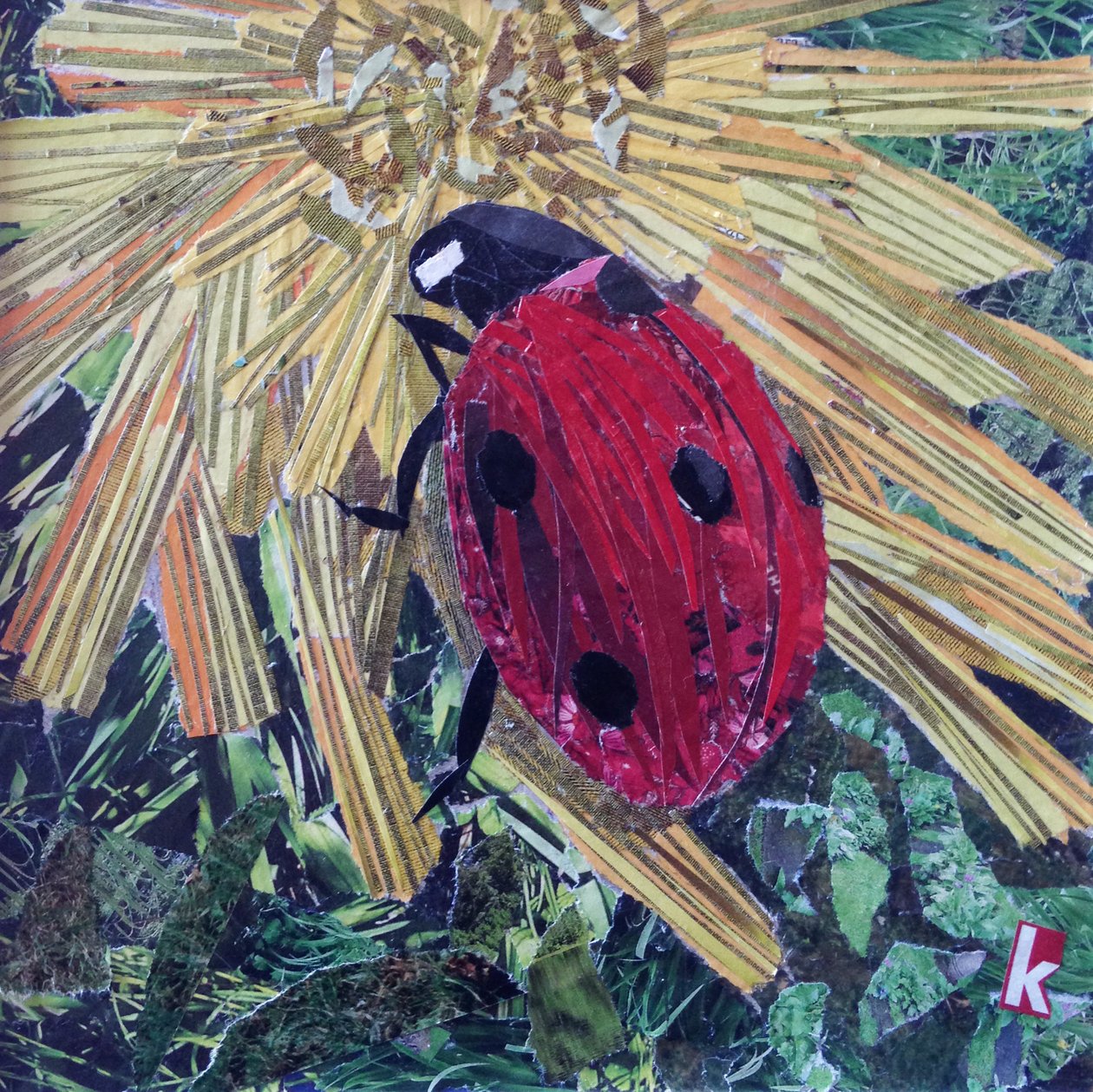 Rise Ladybird On Chrysanthemum by Kirstie Adamson
