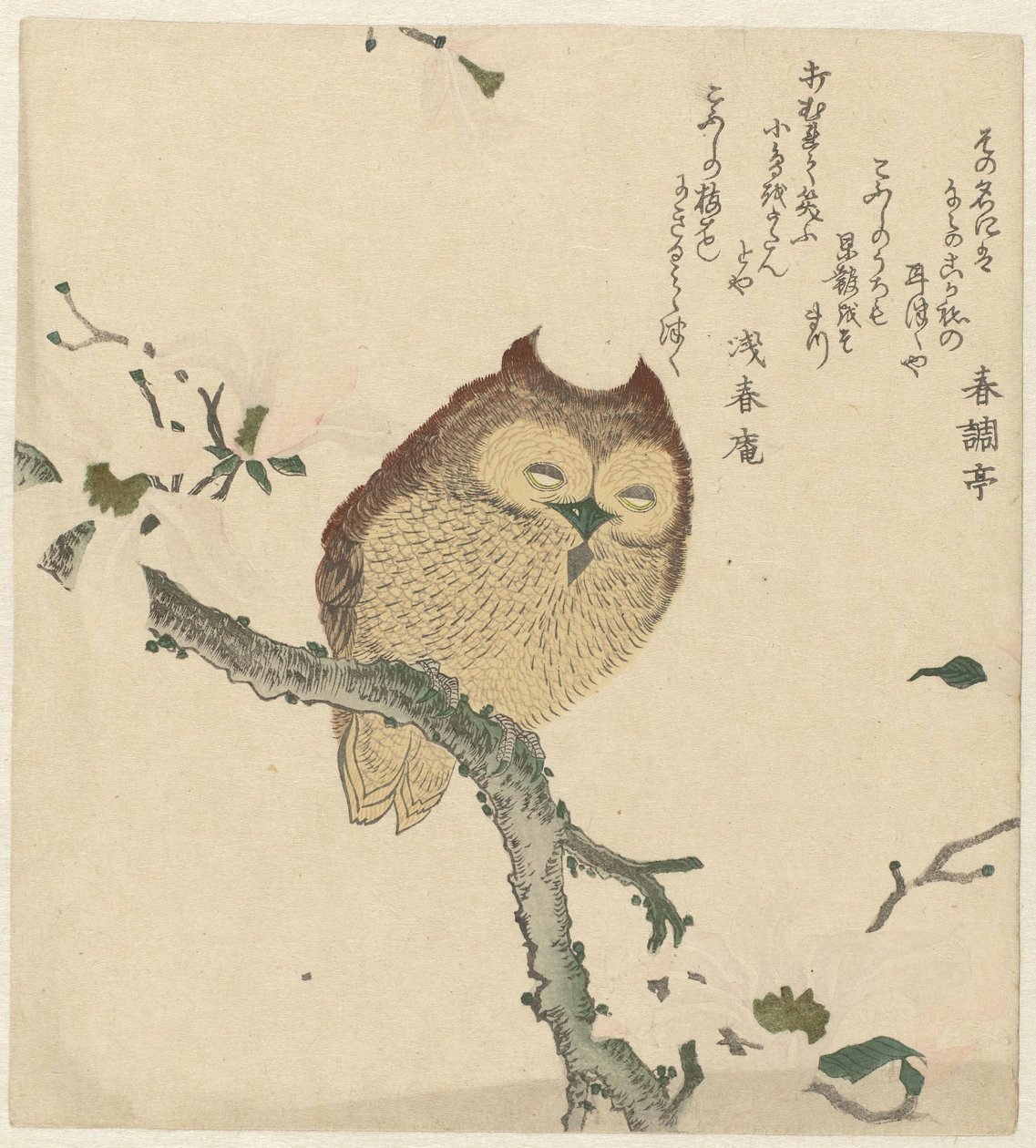 Owl on a Magnolia Branch by Kubota Shunman