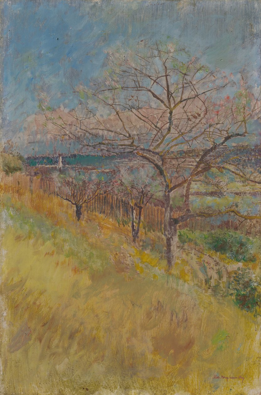Valley with Trees in Bloom by Laszlo Mednyanszky