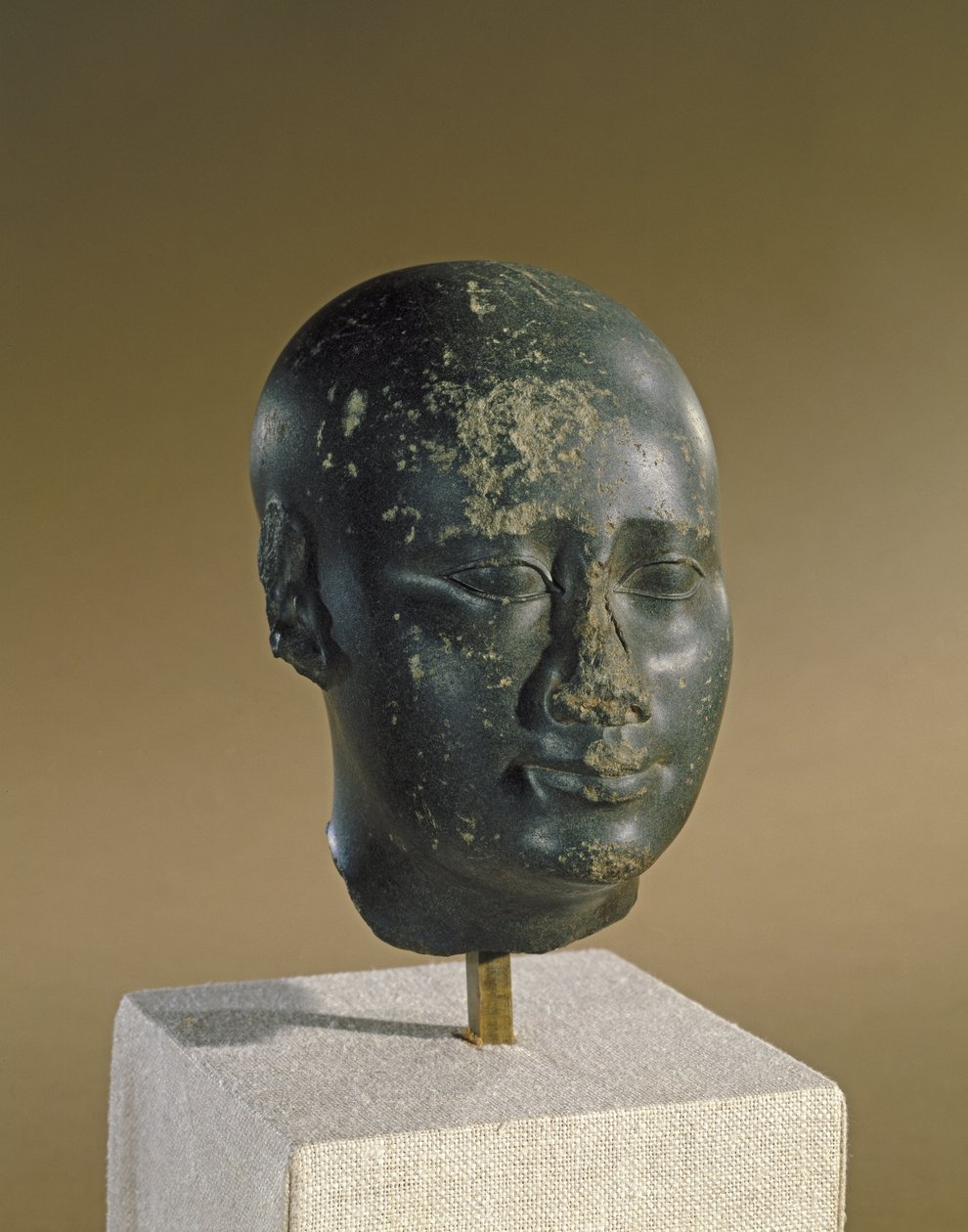 Head of a Man with Ovoid Skull by Late Period Egyptian