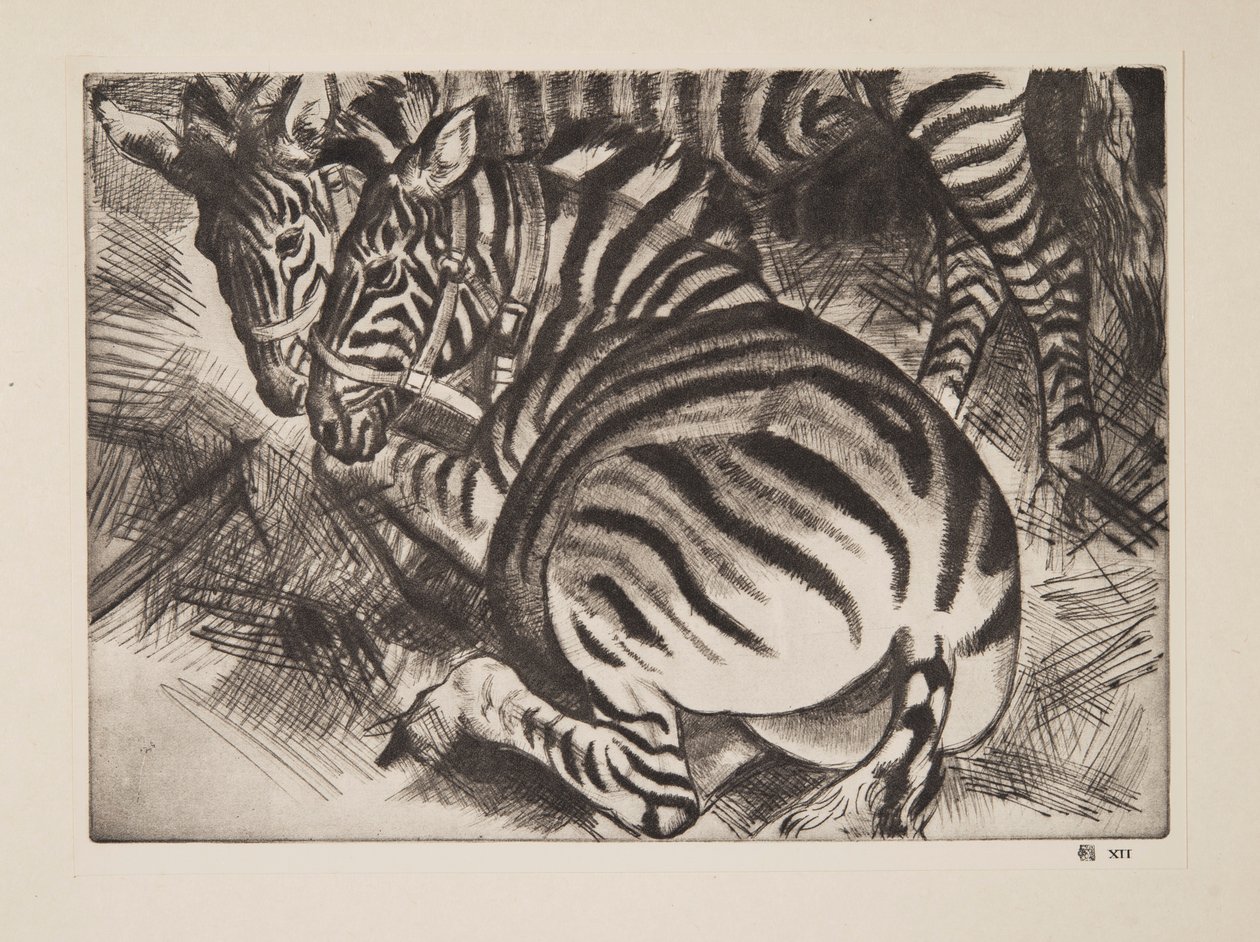Zebras by Laura Knight