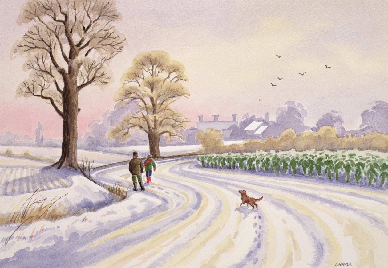 Walk in the Snow by Lavinia Hamer