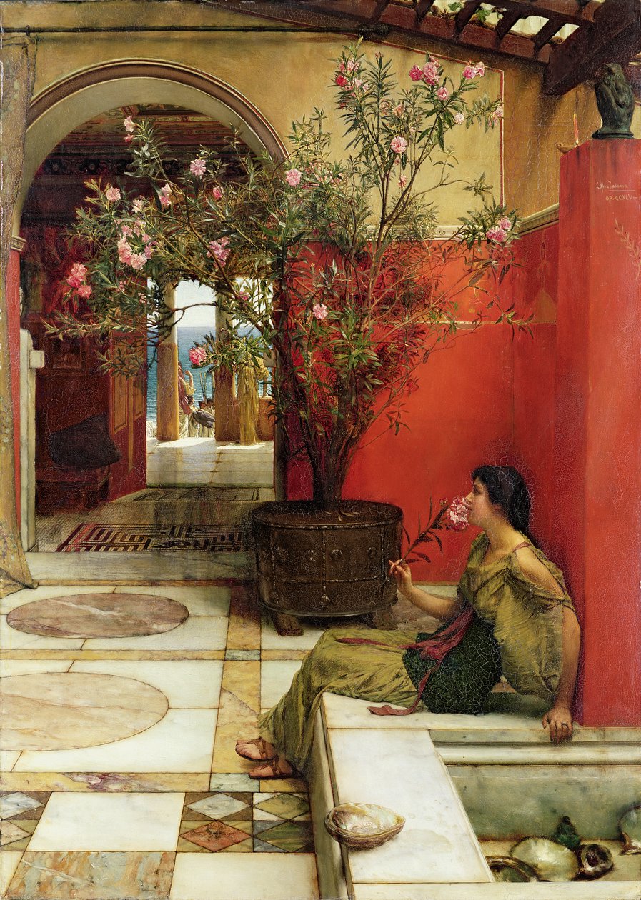 An Oleander by Lawrence Alma Tadema