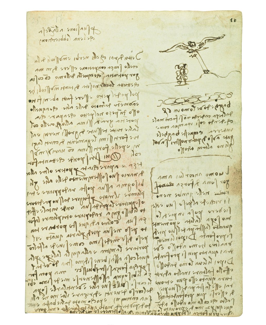 Codex on the Flight of Birds, Folio 16 Recto by Leonardo da Vinci