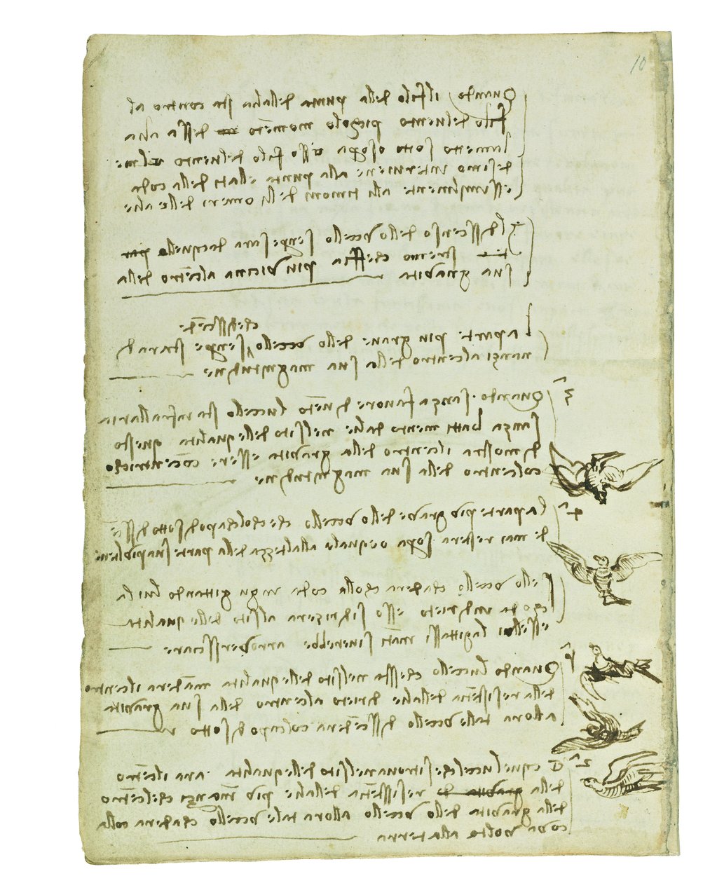 Codex on the Flight of Birds, Folio 7 Verso by Leonardo da Vinci