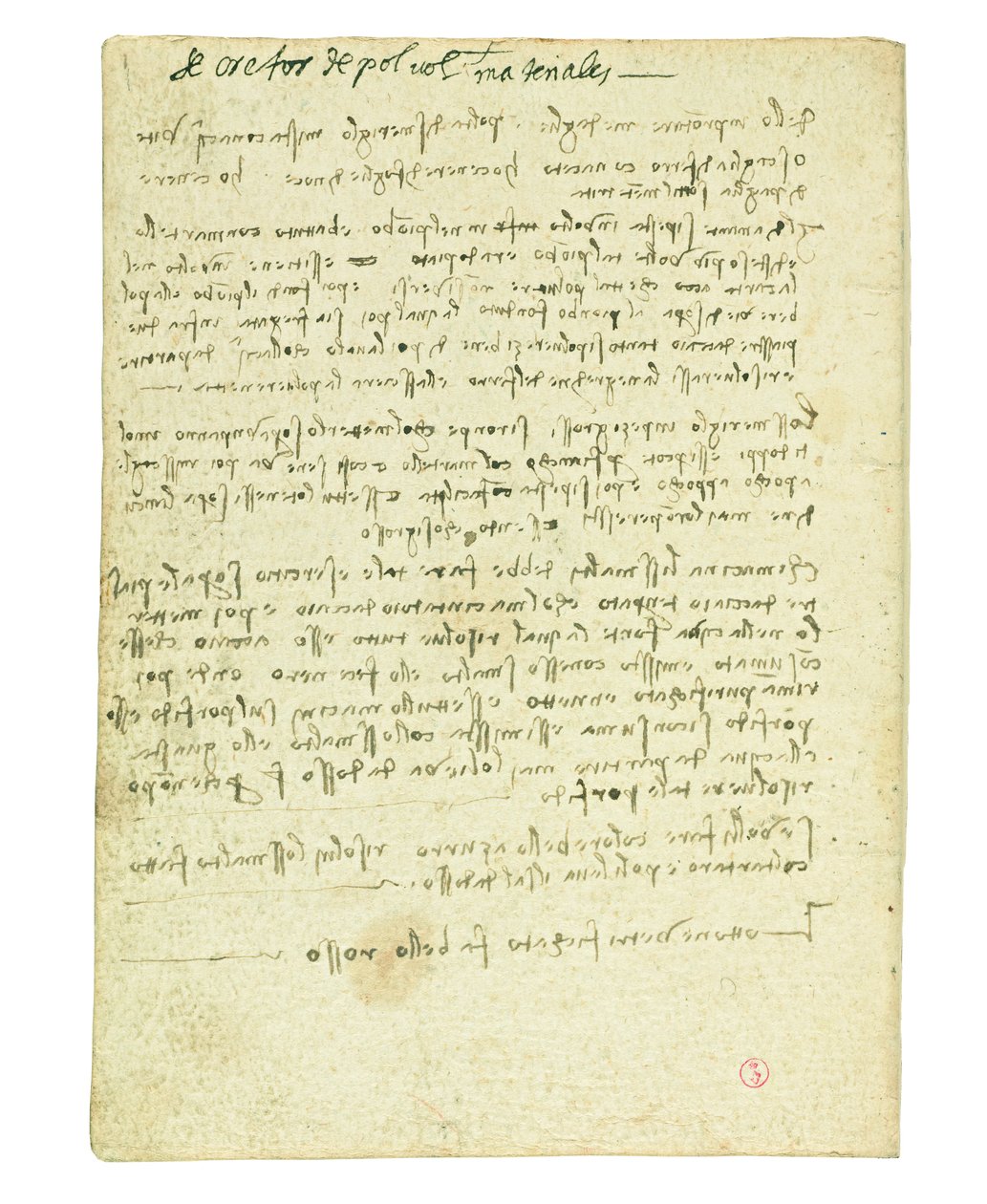 Codex on the Flight of Birds, Endpaper II by Leonardo da Vinci