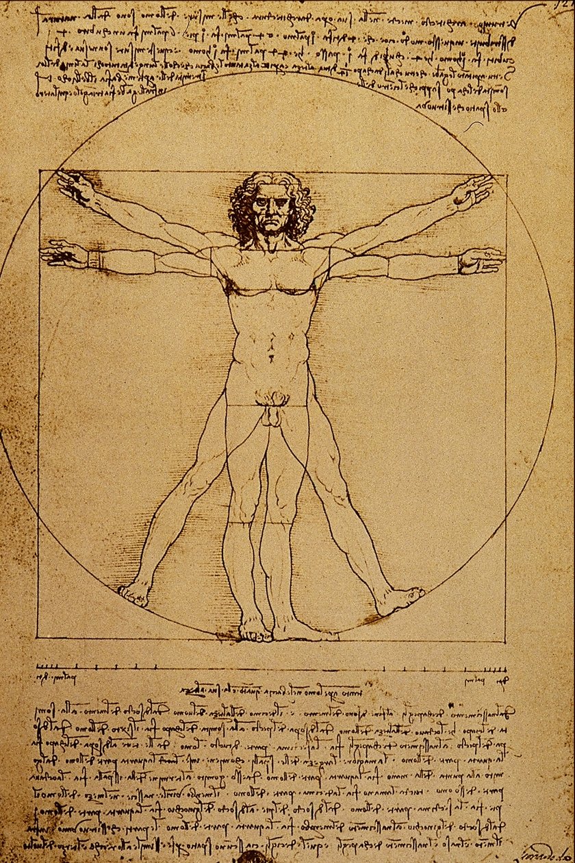 Study of the Human Body by Leonardo da Vinci
