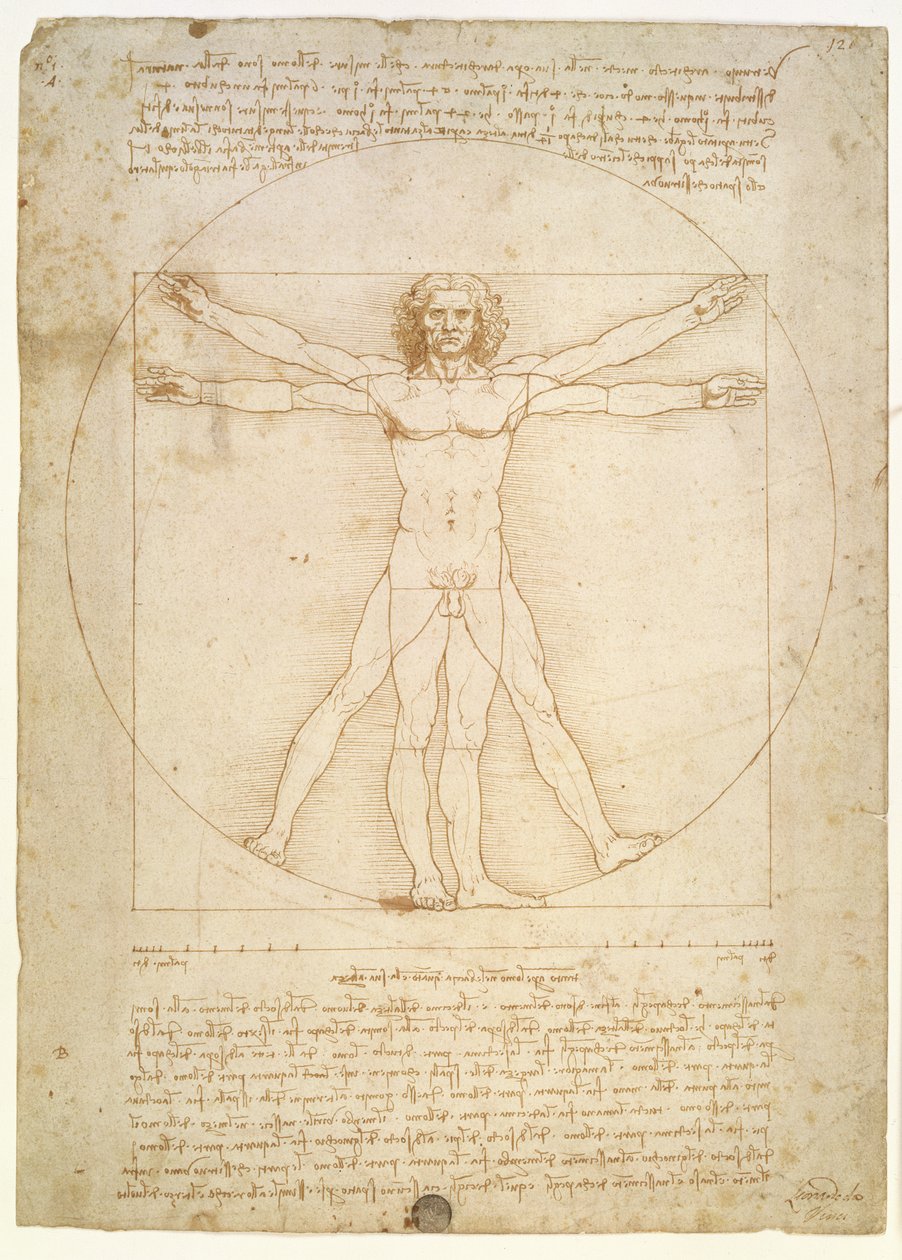 The Proportions of the human figure (after Vitruvius), c.1492 by Leonardo da Vinci